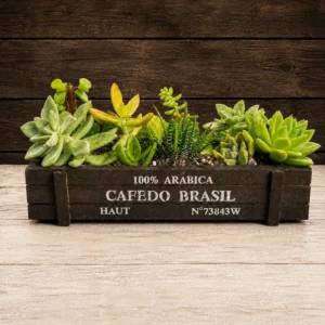 Rustic Succulent Crate Planter - Black