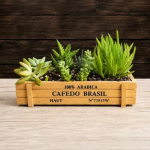Rustic Succulent Crate Planter - Natural