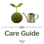 care-no-border2