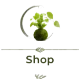 new_shop_no_border2